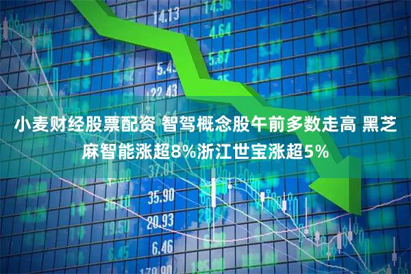 小麦财经股票配资 智驾概念股午前多数走高 黑芝麻智能涨超8%浙江世宝涨超5%