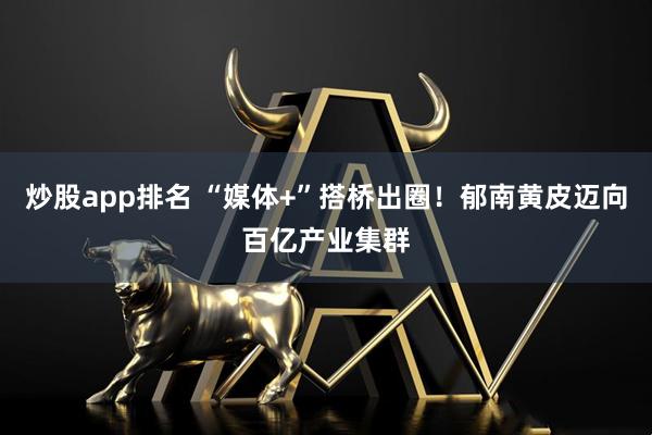 炒股app排名 “媒体+”搭桥出圈！郁南黄皮迈向百亿产业集群